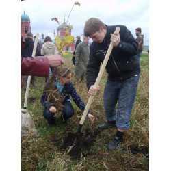 На Куликовом поле высадили 4000 дубков в память о русских воинах
