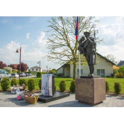 Благодарные французы передали в Россию более сотни плюшевых мишек