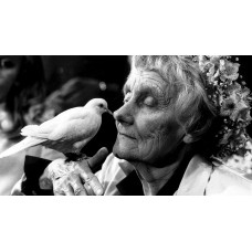 На Премию памяти Астрид Линдгрен номинированы четверо россиян