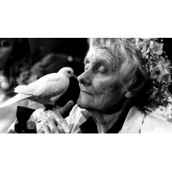 На Премию памяти Астрид Линдгрен номинированы четверо россиян