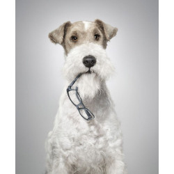 «Неестественный отбор» Тима Флэка