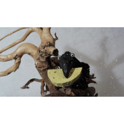 Молодых кинематографистов объединил «Человек с киноаппаратом»