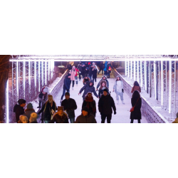 В Москве начал работу гигантский каток