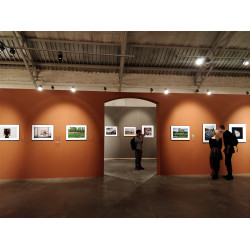 Открылась юбилейная выставка конкурса «Лучшие фотографии России»