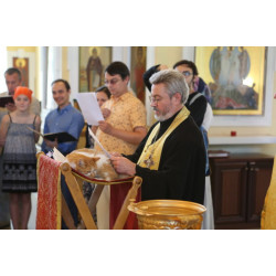 В Подмосковье отслужили молебен о помощи бездомным животным