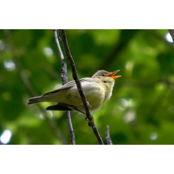 Кинофестиваль фильмов о природе откроется 18 января