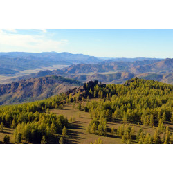 Кинофестиваль фильмов о природе откроется 18 января