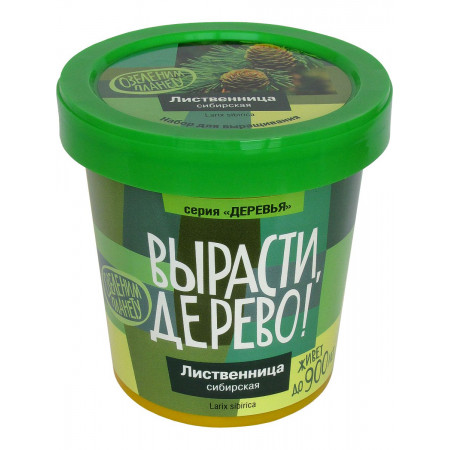 Набор ВЫРАСТИ ДЕРЕВО! zk-049 Лиственница сибирская