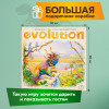 Настольная игра ПРАВИЛЬНЫЕ ИГРЫ 13-03-01 Эволюция. Естественный отбор