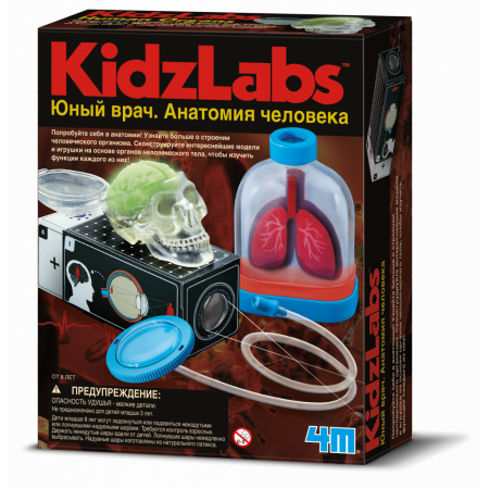 Набор 4M 00-03374 Юный врач. Анатомия человека.