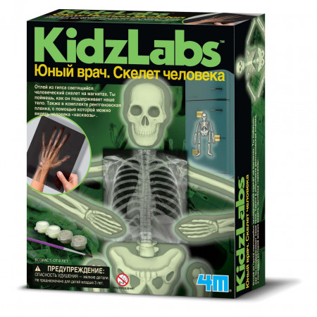 Набор 4M 00-03375 Юный врач. Скелет человека.