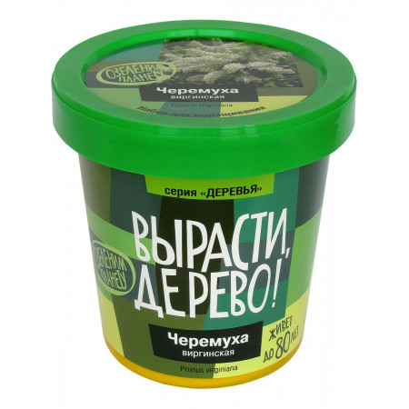 Набор ВЫРАСТИ ДЕРЕВО! zk-052 Черёмуха виргинская