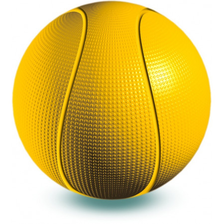 Мяч ВЕСНА В551 Баскетбольный, 25, см