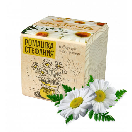 Набор для выращивания ЭКОКУБ ECB-01-20 Ромашка Стефания