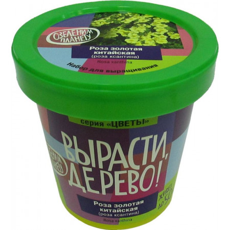Набор ВЫРАСТИ ДЕРЕВО! zk-062 Роза золотая китайская