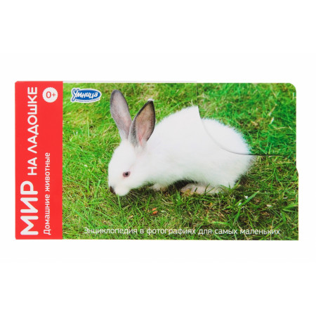 Набор карточек УМНИЦА 2017 Домашние животные