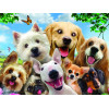 Пазл PRIME 3D 13535 Собаки селфи