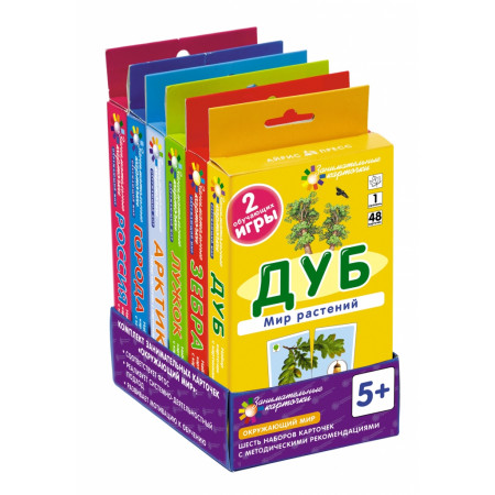 Обучающий набор АЙРИС-ПРЕСС 50899 Окружающий мир