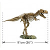 Набор EDU-TOYS VT026 Скелет динозавра 91см