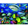 Стерео пазл PRIME 3D 13688 Акульи воды