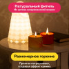 Набор для творчества EBRU PROFI по созданию контейнерной свечи. Огненный феникс 01015