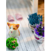 Румбокс HOBBY DAY На даче PC2412