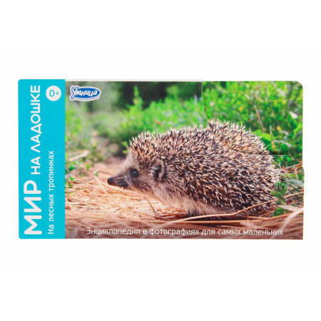 Набор карточек УМНИЦА 2011 На лесных тропинках