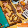 Набор юного археолога 4M 00-13234 Откопай скелет динозавра,  Велоцираптор, 8+