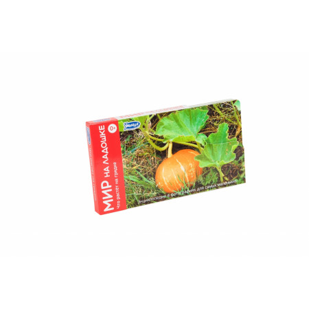 Набор карточек УМНИЦА 2021 Что растет на грядке