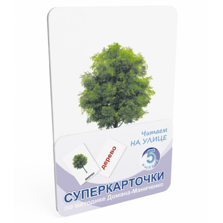 Набор карточек УМНИЦА 9006 Читаем на улице