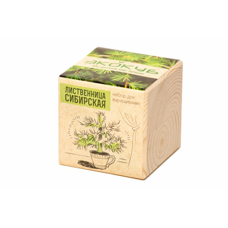 Набор для выращивания ЭКОКУБ ECB-01-07 Лиственница