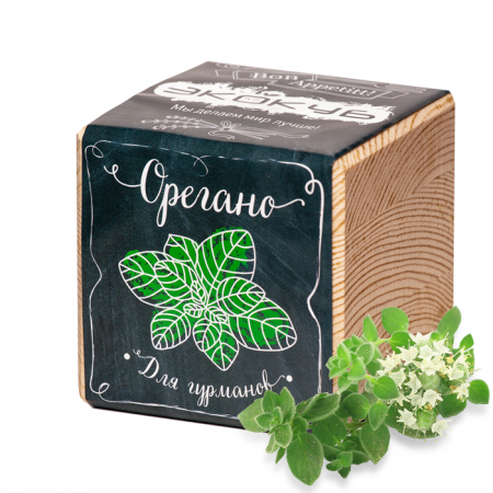 Набор для выращивания ЭКОКУБ ECB-02-04 Орегано