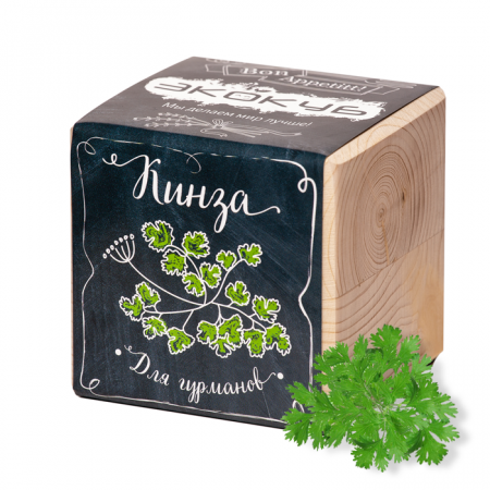 Набор для выращивания ЭКОКУБ ECB-02-07 Кинза