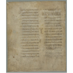 Открыт онлайн доступ к двум уникальным манускриптам